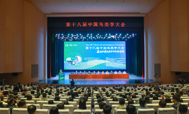 “智慧之眼”守护天空精灵！优威视讯携AI黑科技惊艳鸟类学大会