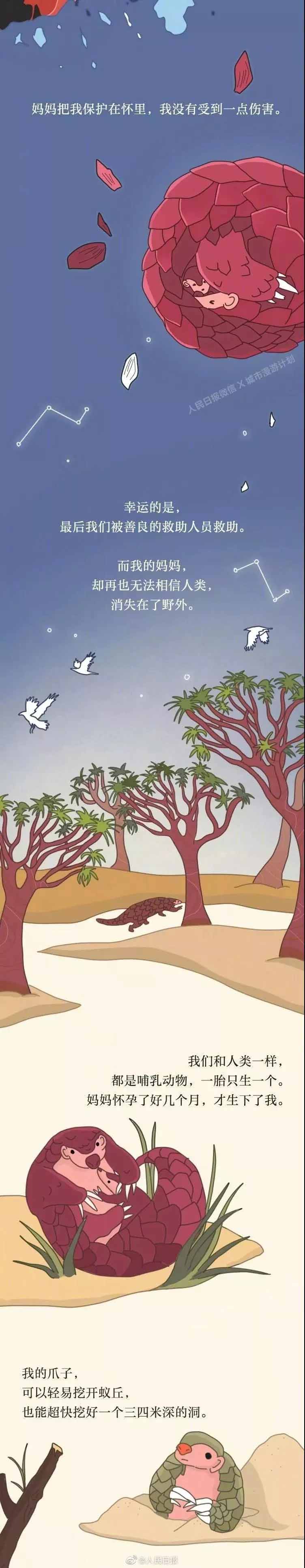 333.jpg
