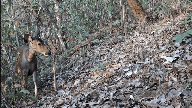 1714118284675903.gif 3.gif