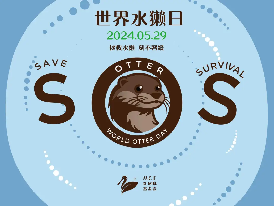 001.png
