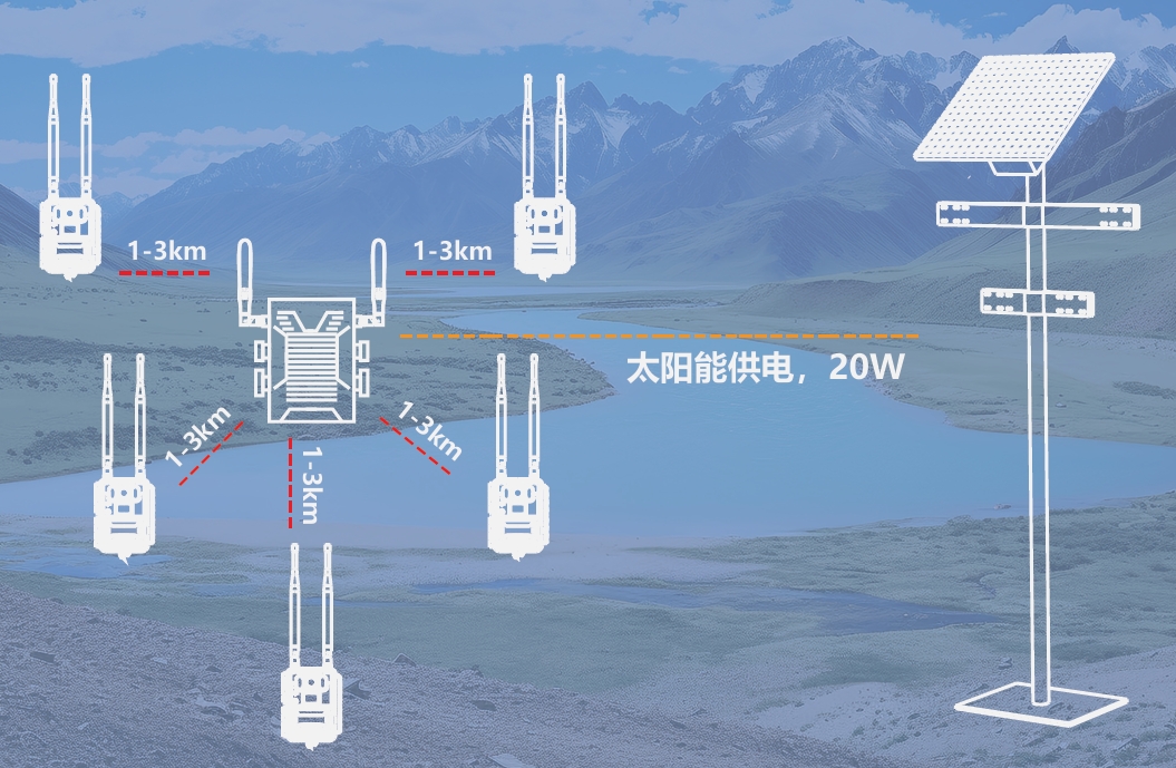 自组网2.jpg