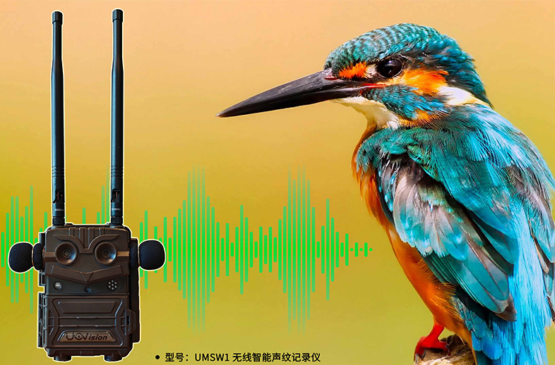优威声纹记录仪：AI+声纹技术如何重塑野生动物监测的边界？
