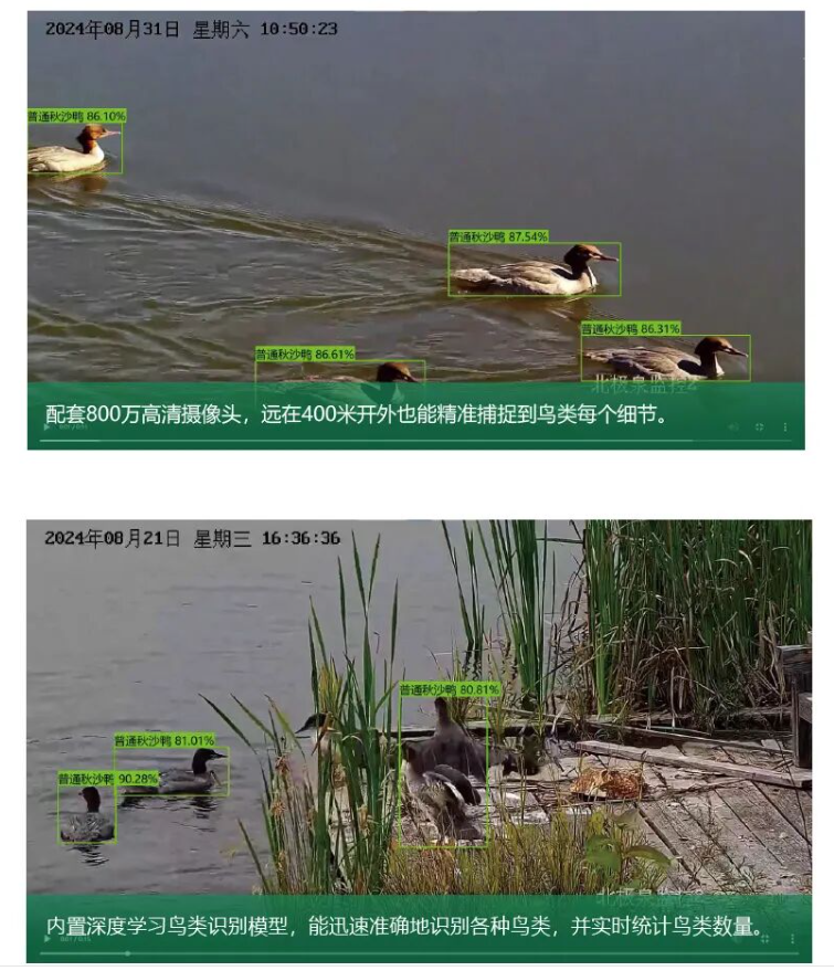 wechat_2025-09-05_094853_775.png