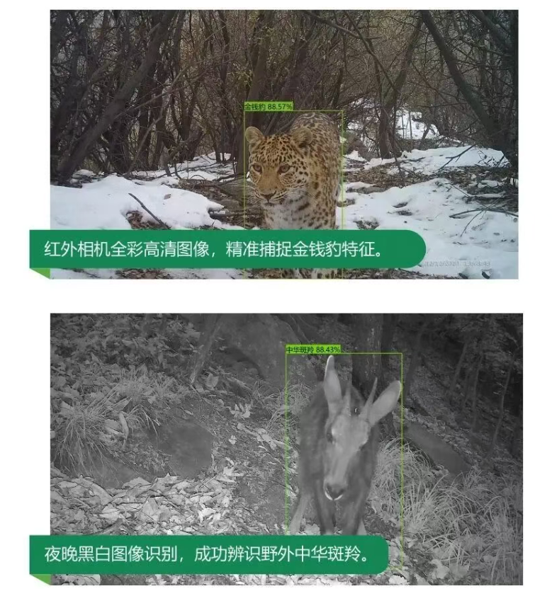 wechat_2025-09-05_101358_980.png